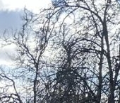 Сдать в аренду Квартиры вторичка 12-я Парковая улица, 5   