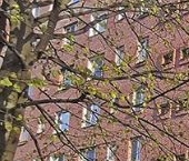 Продать Комнаты в квартирах Колпино, бульвар Трудящихся, 35к2   