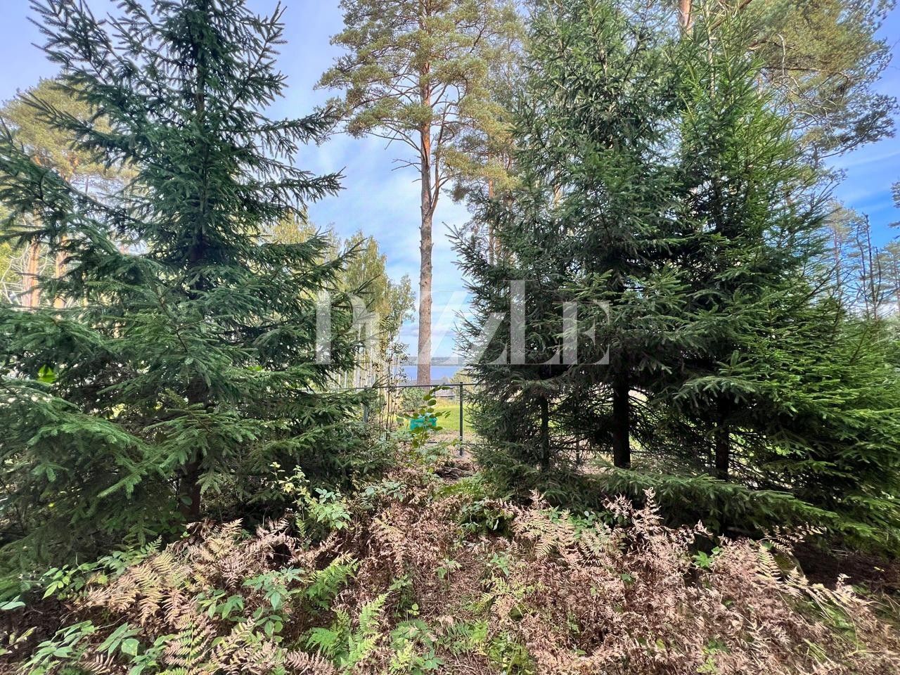 Продажа земли Сосны кп, улица Береговая,  д. 4к2
