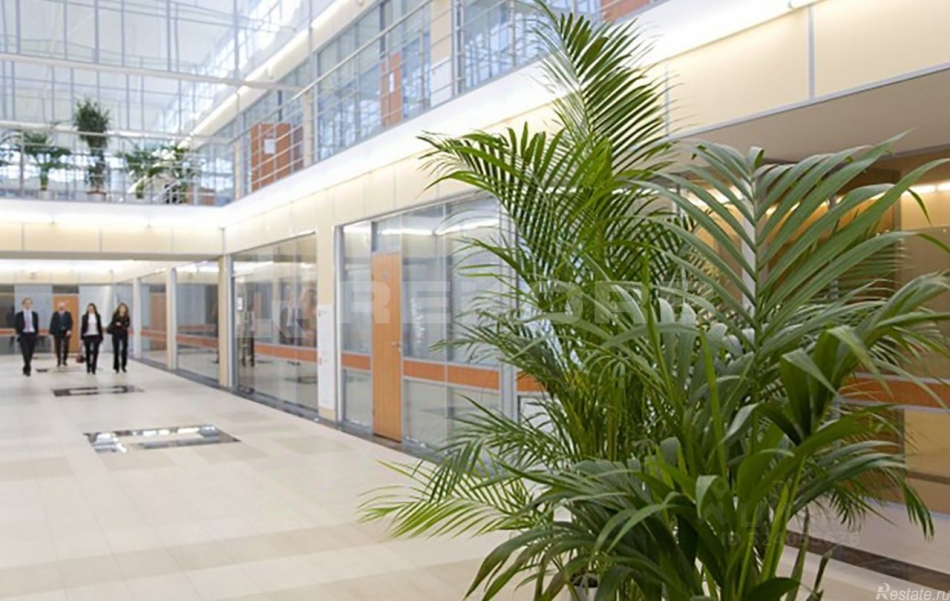 Аренда офиса Кондратьевский пр-кт,  д. 15,  к. 3