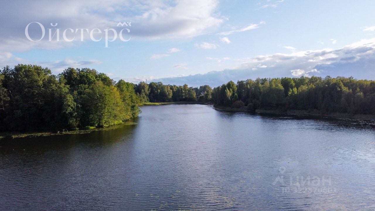 Продажа земли пос. Парголово, улица Шишкина, 177