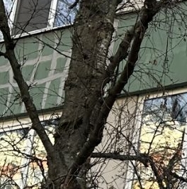 Продажа 3-комн квартиры на вторичном рынке улица Стойкости, 26К1