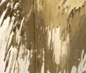 Сдать в аренду Квартиры вторичка Петровский проспект, 22к2   