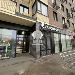 Аренда ПСН Павшино, Молодёжная улица