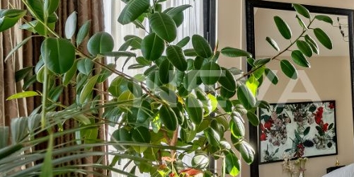 3-комн квартира набережная Мартынова, 74Б