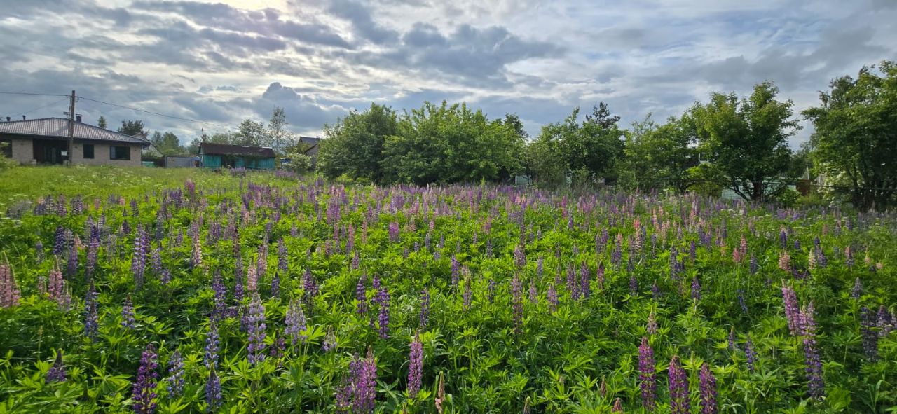 Продажа земли Павловск, Славяночка-2 СНТ, 370