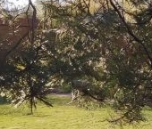 Продать Дачи, коттеджи, загородные дома Родничковое СНТ, 147   