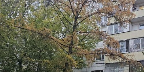 2-комн квартира Херсонская улица, 33