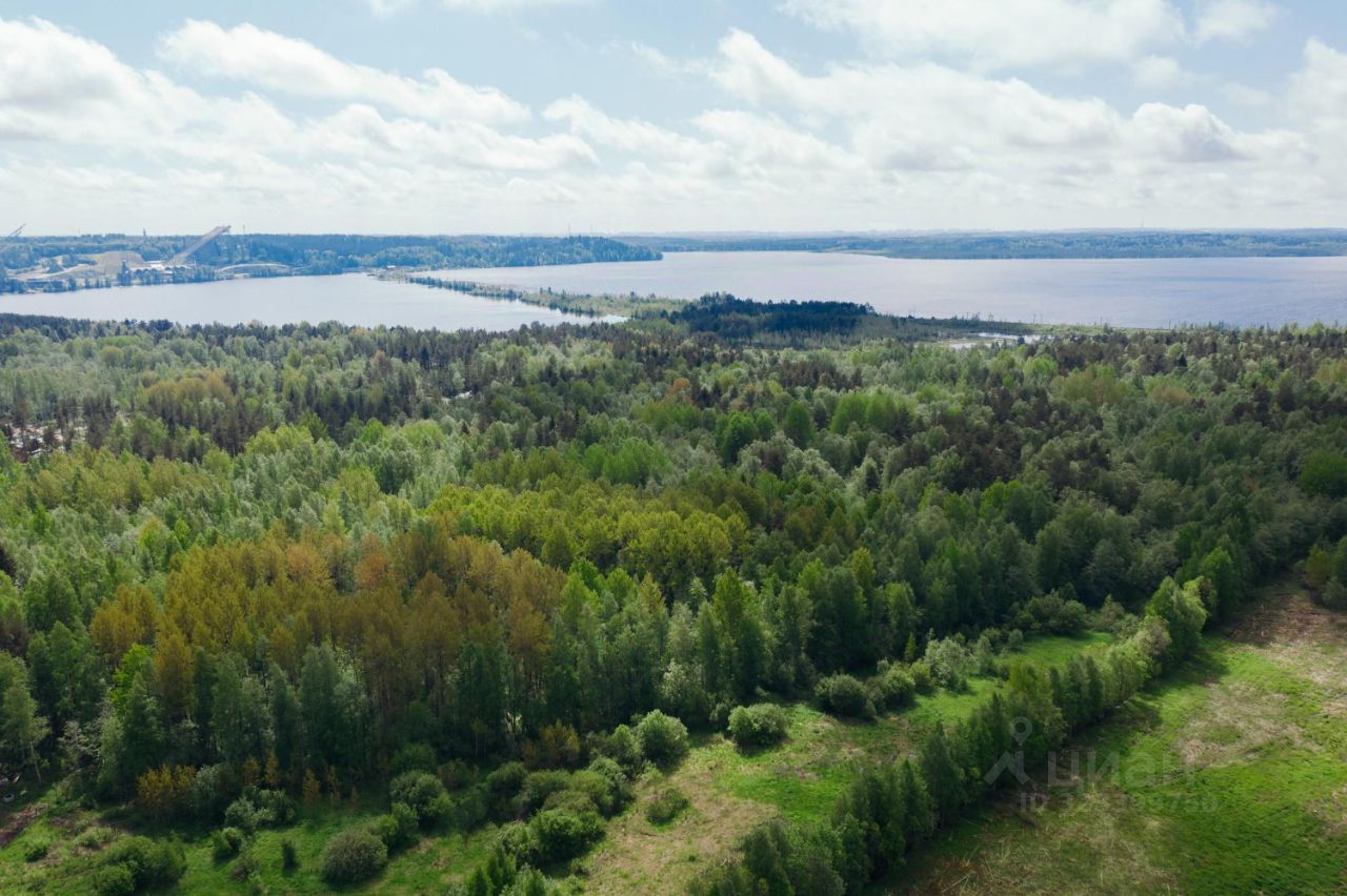 Продажа земли Негород Токсово кп,  д. 66