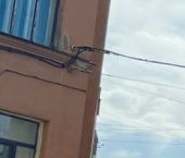 Продать Квартиры вторичка проспект Малый Петроградской стороны, 66/32   