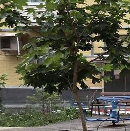 Продажа 4-комн квартиры на вторичном рынке Большой Златоустинский переулок, 3АС2 Продажа 4-комн квартиры на вторичном рынке Большой Златоустинский переулок, 3АС2