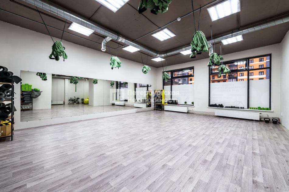 Продажа ПСН Шушары п, Старорусский пр-кт