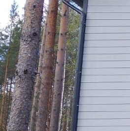 Продажа дома СОСН Раздолье тер., улица Лютиковая