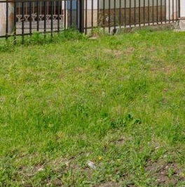 Продажа студии переулок Майков, 4а