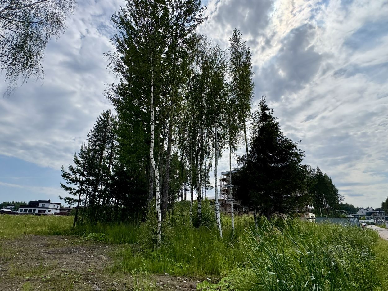 Продажа земли д. Мистолово, улица Сосновая