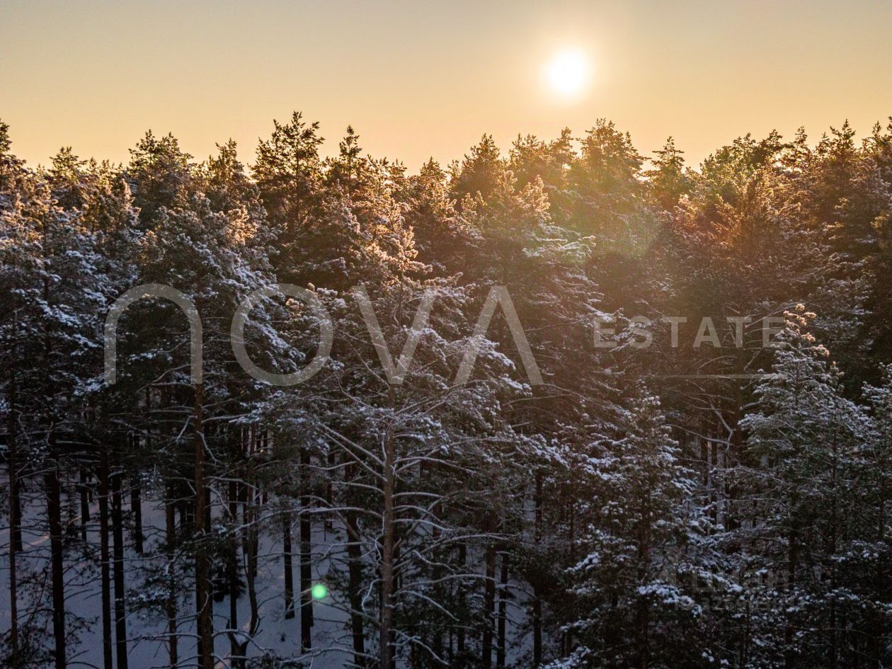 Продажа земли пос. Комарово, проспект Лесной