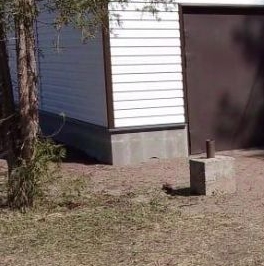 Продажа дома Мшинская садоводческий массив, Строитель-2 СНТ,  д. 173