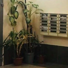 Продажа 1-комн квартиры на вторичном рынке Новоивановское рп, шоссе Можайское, 50