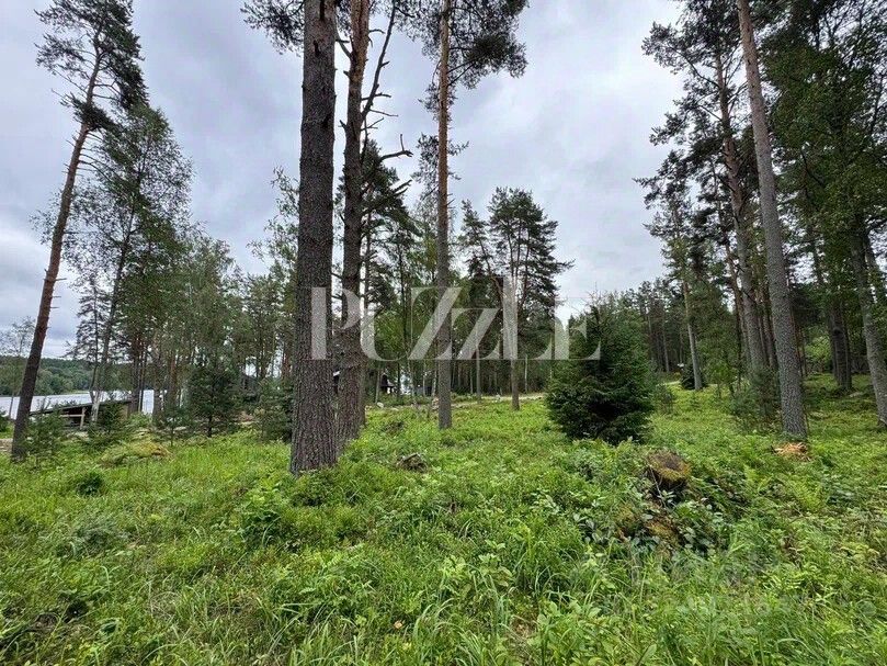 Продажа земли Мишкин лес кп, пос. Гречухино