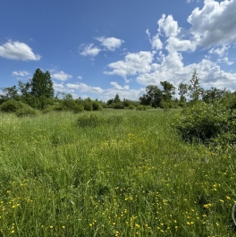 Продажа земли Отрадное г., Шишова ул. , д. 3 Продажа земли Отрадное г., Шишова ул. , д. 3