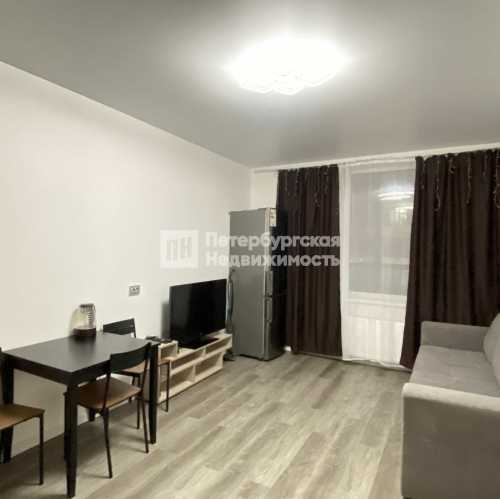 Студия пр-кт Ветеранов, д 202 к 1