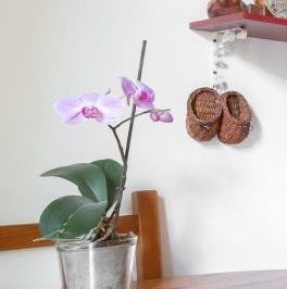 Продажа 2-комн квартиры на вторичном рынке улица Гастелло, 26 Продажа 2-комн квартиры на вторичном рынке улица Гастелло, 26