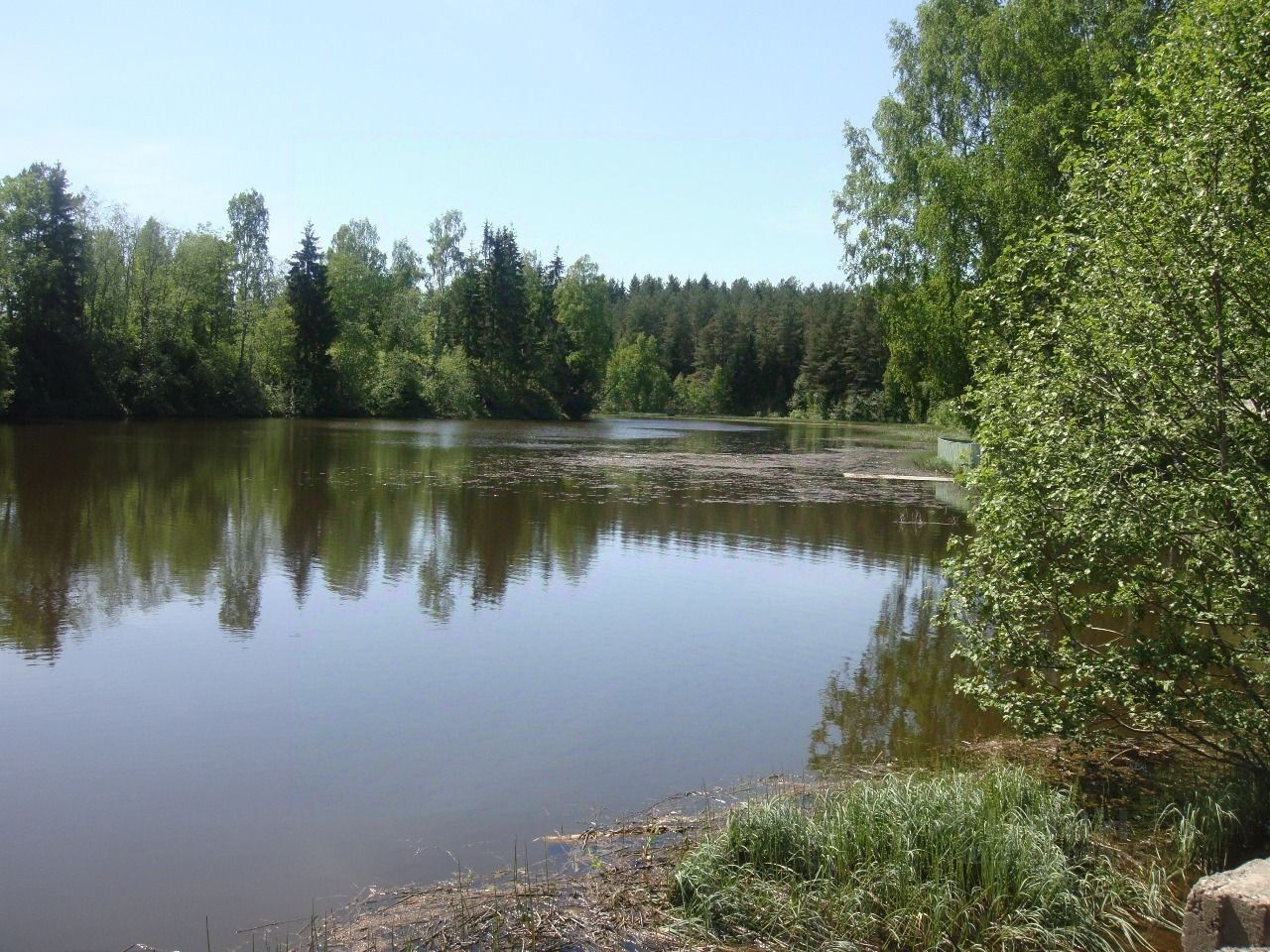 Продажа земли Толмачево городской поселок