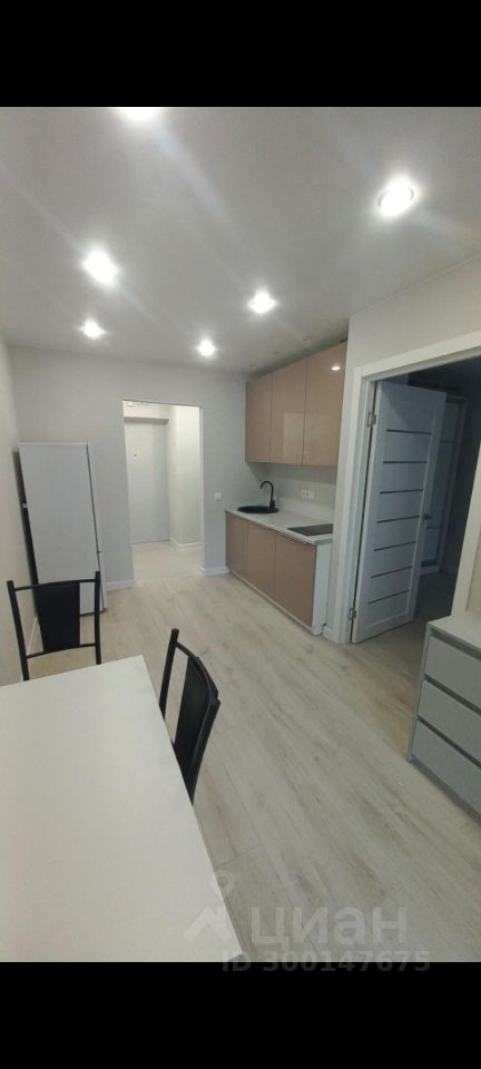 Аренда 1-комн квартиры на вторичном рынке пос. Шушары, проспект Старорусский, 11