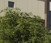 Продать Квартиры вторичка Булатниково мкр, д. Жабкино, 14   