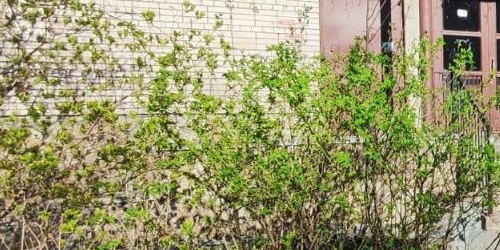 1-комн квартира Болотная улица, 17