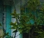 Продать Квартиры вторичка пос. Новое Гришино, улица Г.Г. Королева, 13   