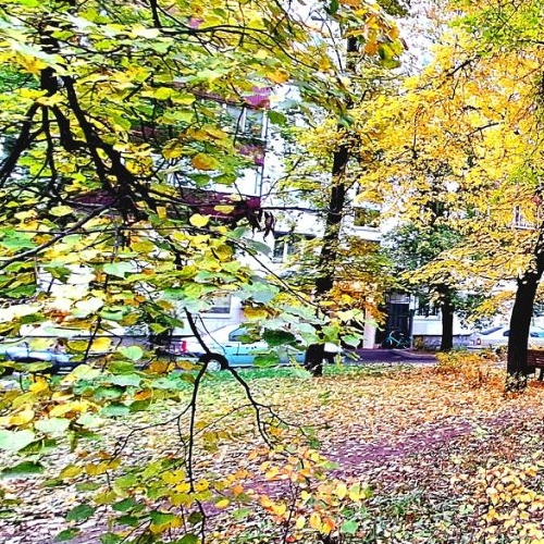 2-комн квартира улица Гончарова, 3