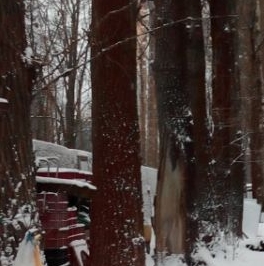 Продажа комнаты Арктическая улица, 9 Продажа комнаты Арктическая улица, 9