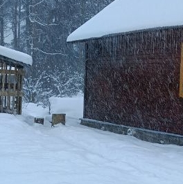 Продажа дома пос. При железнодорожной станции Ириновка, улица Разъезжая,  д. 19А