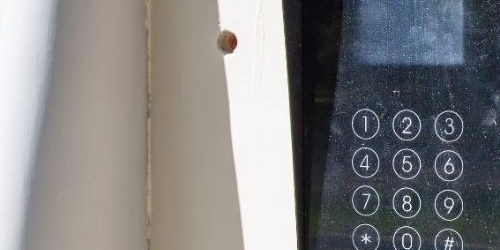 1-комн квартира Костромской проспект, 45