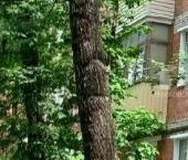 Продать Квартиры вторичка Большой Коптевский проезд, 12К2   