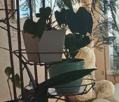 Продать Квартиры вторичка улица Савушкина, 140   