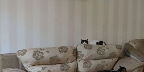 4-комн квартира переулок Гривцова, 3