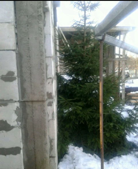 Продажа дома Рябовское шоссе,  д. 71