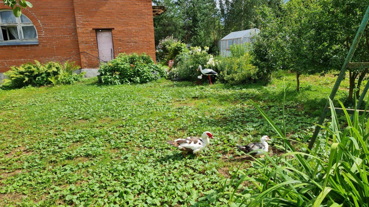 Продажа дома Вырица городской поселок