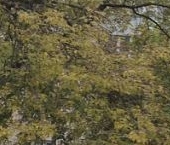 Продать Квартиры вторичка имени К.А. Аверьянова мкр  4 