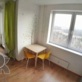 Продажа 1-комн квартиры на вторичном рынке Новое Павлино, ул Бояринова,  д. 11