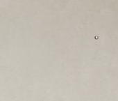 Продать Квартиры вторичка Дальневосточный проспект, 35к1   