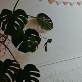 Продажа студии Мурино, бульвар Петровский, 2к1 Продажа студии Мурино, бульвар Петровский, 2к1