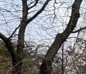 Продать Квартиры вторичка Подъемная улица, 1   