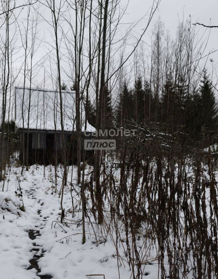 Продажа земли Рубеж массив, Олень СНТ, 1-я линия,  д. 5