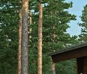 Продать Дачи, коттеджи, загородные дома пос. Ромашки, улица Полевая   