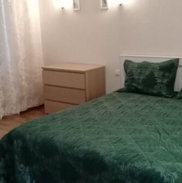 Аренда 1-комн квартиры на вторичном рынке улица Пудовкина,  д. 17