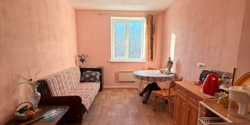 1-комн квартира Петергоф г, Войкова ул,  д. 68