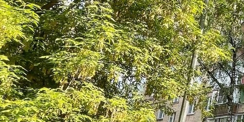 1-комн квартира 2-й Саратовский проезд, 5